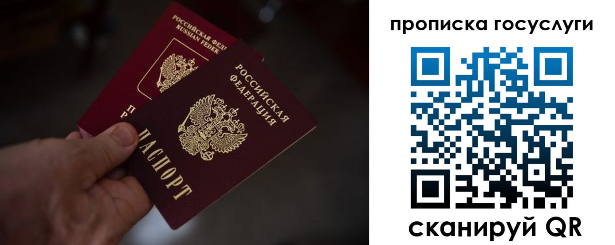 прописка ребенка в Камышине