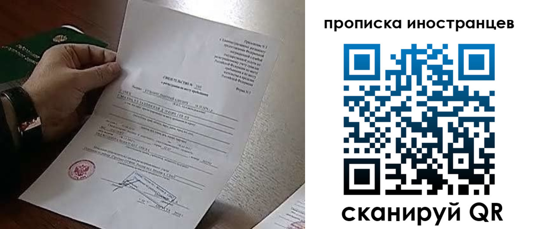 прописка поиск в Камышине